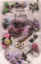 Langage fleurs coeur d'occasion  Vasles