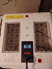 Little giant incubator for sale  Parkers Lake