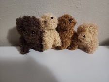 Brown labradoodle maltipoo for sale  Roscoe
