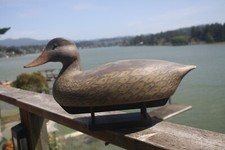 Mallard hen decoy for sale  Lincoln City