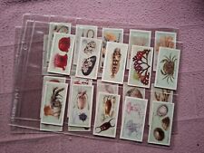 Complete set hignett for sale  NEWBURY