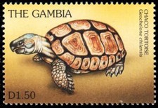 Gambia 1871p chaco d'occasion  Expédié en Belgium