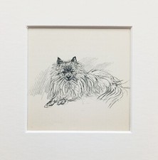 Pomeranian dog vintage for sale  NORWICH