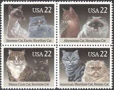 Usa 1988 siamese for sale  BIRMINGHAM