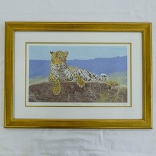 Stephen gayford limited for sale  PLYMOUTH