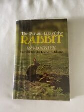 Private life rabbit for sale  VERWOOD