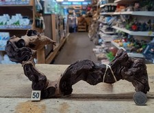Small medium mopani for sale  STOCKPORT