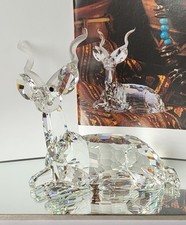 Swarovski scs kudu gebraucht kaufen  Weilburg