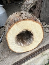Baumscheibe hohl klotz gebraucht kaufen  Neustrelitz