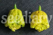 Pepper unofficial world usato  Cirie