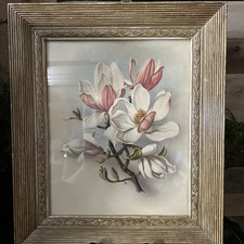 Vintage framed magnolia for sale  Quincy