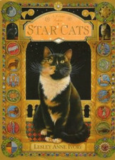 Star cats feline for sale  ROSSENDALE