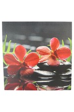 Rchidee fotoprint 40x40cm gebraucht kaufen  Deutschland