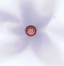 Capsule champagne gardet d'occasion  Ambarès-et-Lagrave