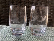 Jagdgläser wassergläser jagd gebraucht kaufen  Sternenfels