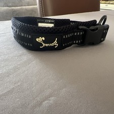 Petto small dog for sale  COCKBURNSPATH