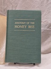 Anatomy the honey d'occasion  Expédié en Belgium