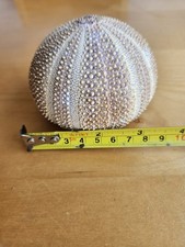 Large vintage sea for sale  HARTLEPOOL