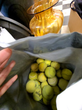 Used tennis balls for sale  Southlake