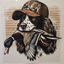 Boykin spaniel duck for sale  Osceola