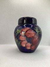anemone for sale anemone for sale COLCHESTER