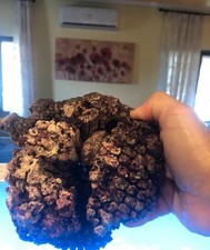 rocce acquari usato  Reggio Calabria