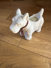 west highland terrier for sale west highland terrier for sale MOLD