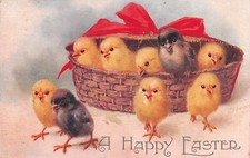 Happy easter chicks for sale  CROWBOROUGH