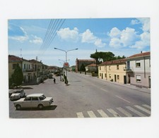 Bosco mesola piazza usato  Milano