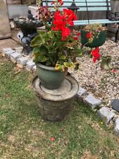 Vintage swifts chicken for sale Vintage swifts chicken for sale  RAYLEIGH
