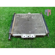 Radiatore acqua peugeot usato  Napoli