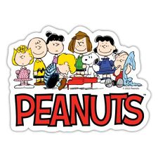 Peanuts snoopy freunde gebraucht kaufen  Leipzig