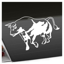 Stier motiv bulle gebraucht kaufen  Leipzig