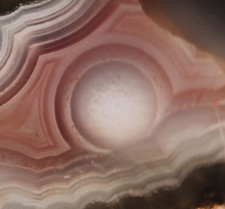 Laguna agate beautiful for sale  Powell Butte