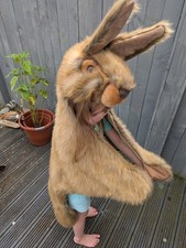 Hare bunny rabbit for sale  LIVINGSTON