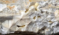 Mineralien wavellit steinbruch gebraucht kaufen  Sundern (Sauerland)