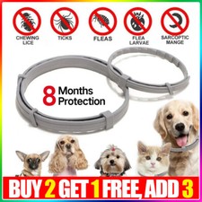Adjustable anti flea for sale  GAINSBOROUGH