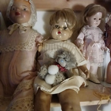 Meet sweet old for sale  STOKE-ON-TRENT