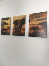 Afrika bilder leinwand gebraucht kaufen  Kaiserslautern