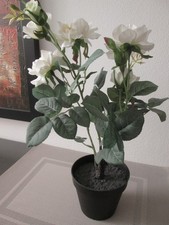 Ikea fejka topfpflanze gebraucht kaufen  Wenden