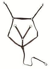 Vorderzeug martingal beschläg gebraucht kaufen  Gröbers