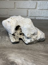 Natural holey limestone for sale  Bartlesville