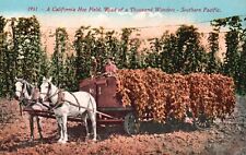 Postcard california hop for sale  Midlothian