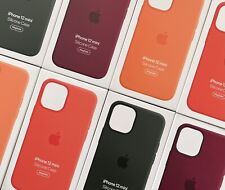 Riginal apple silikon gebraucht kaufen  Igensdorf