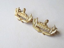 Gloucestershire regiment pair for sale  DORCHESTER