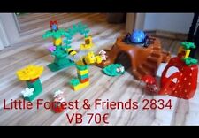 Lego duplo little gebraucht kaufen  Bitburg-Umland