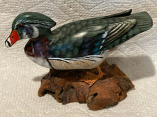 Beautiful lifelike colorful for sale  Fort Worth