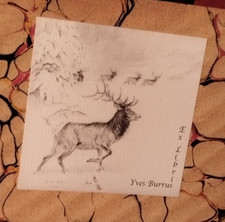 Chasse louis ternier. d'occasion  France