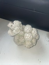 Hotant cauliflower sheep for sale  NORWICH