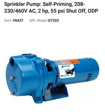 Goulds gt203 water for sale  Blue Ridge
